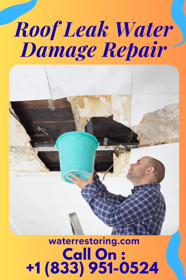 Roof Leak Water Damage Repair in Castle Rock, CO